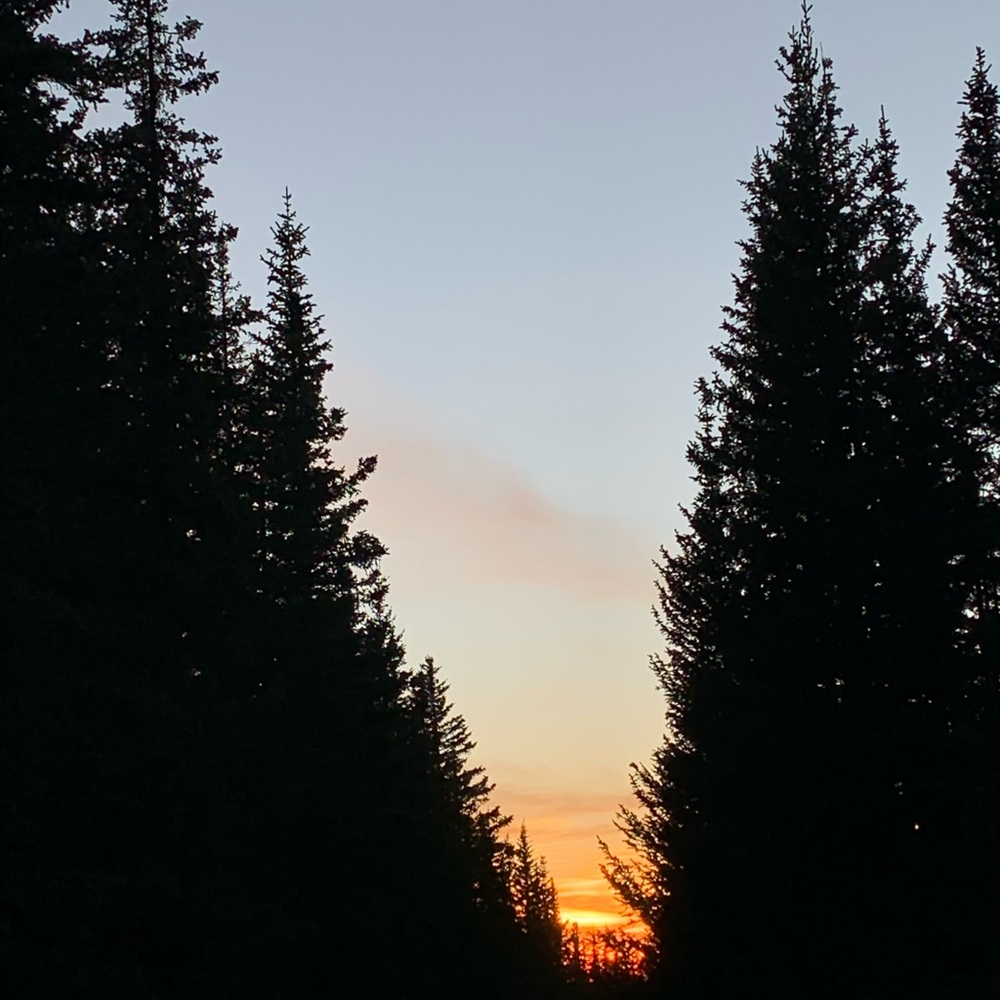 Meet your Posher, Avery